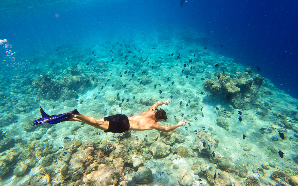 Kuredu Island Resort & Spa - visuel 18