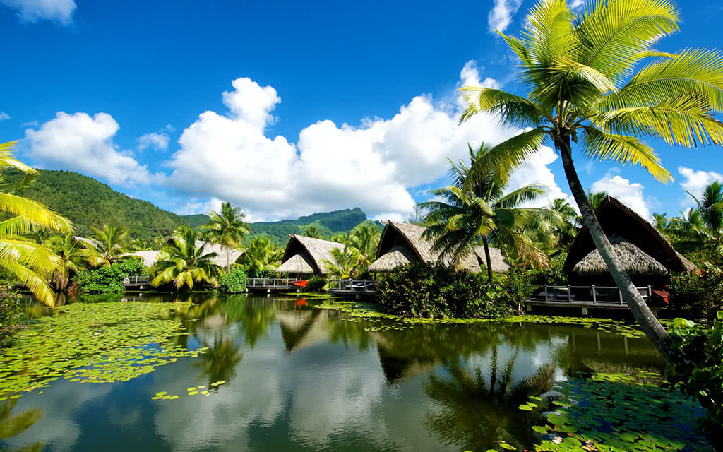 Image 8 du séjour Combiné 4 îles Polynésie MAITAI 12 Nuits : Tahiti + Moorea + Huahine + Bora Bora *** à Tahiti, Polynésie Française