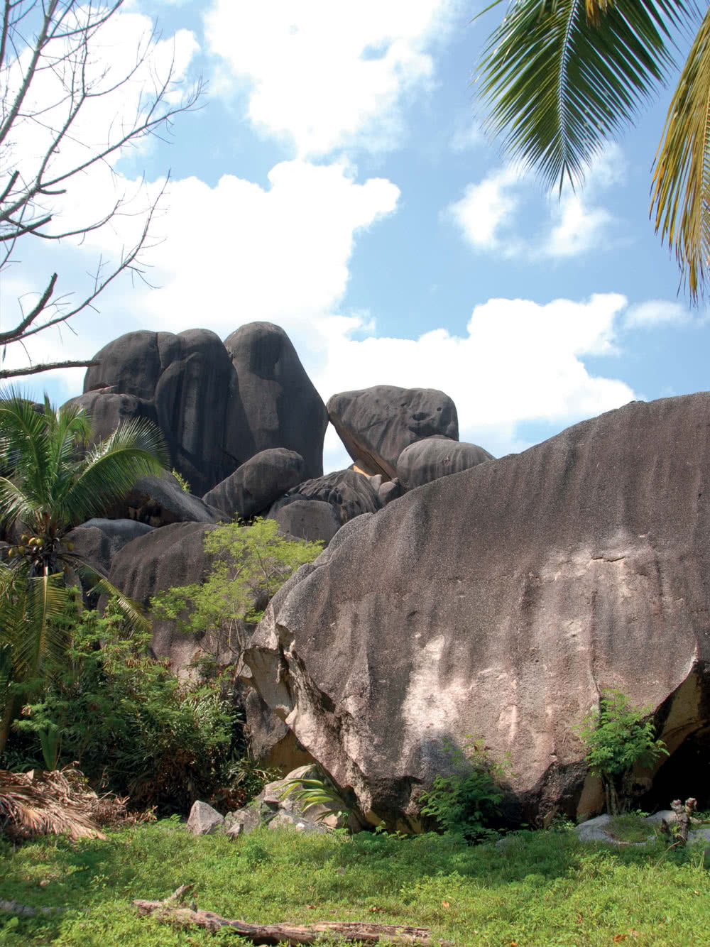 Guesthouses Combiné Seychelles 3 îles : Mahé - La Digue - Praslin en 14 nuits — visuel 27