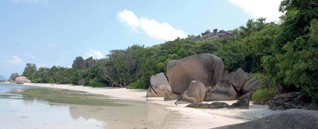 Guesthouses Combiné Seychelles 3 îles : Mahé - La Digue - Praslin en 14 nuits — visuel 34