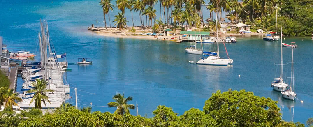 Restez dans un superbe hôtel Excursion La Soufriere & Croisière Catamaran - Sainte Lucie. L'hôtel est idéalement situé à proximité de la plage.