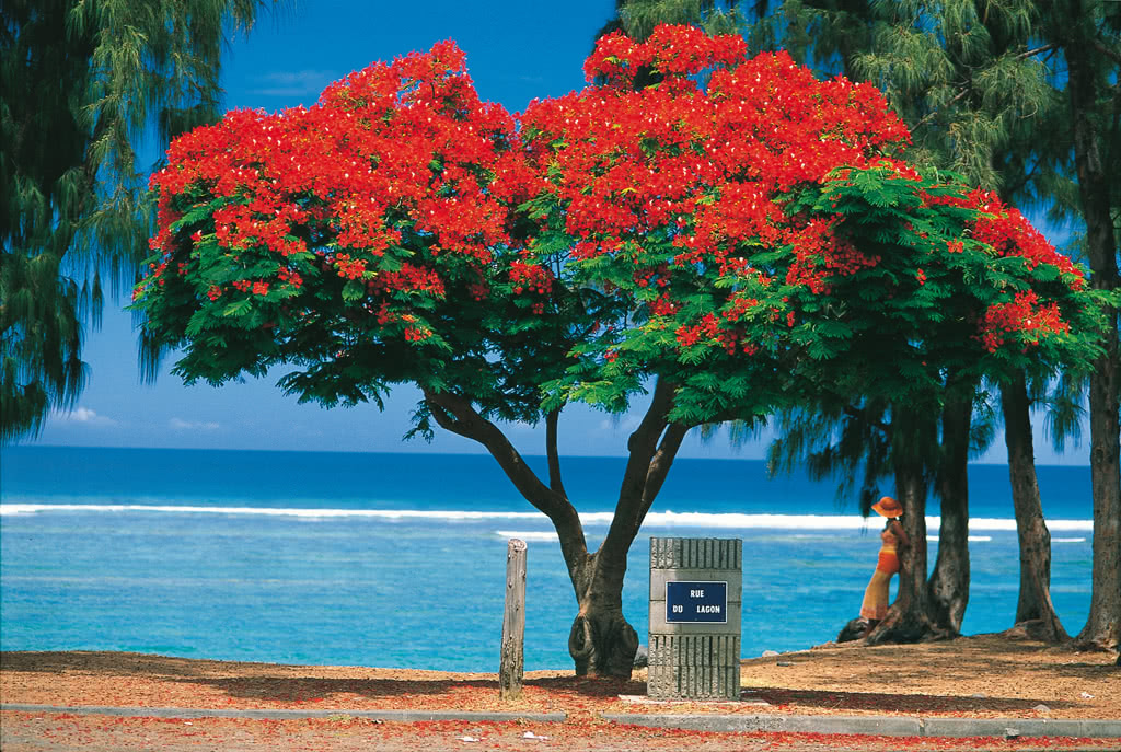 L'hôtel est idéalement situé à proximité de la plage. Partez en Réunion.