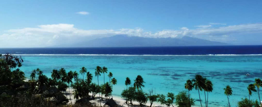 L'hôtel est idéalement situé à proximité de la plage. Partez en Moorea.
