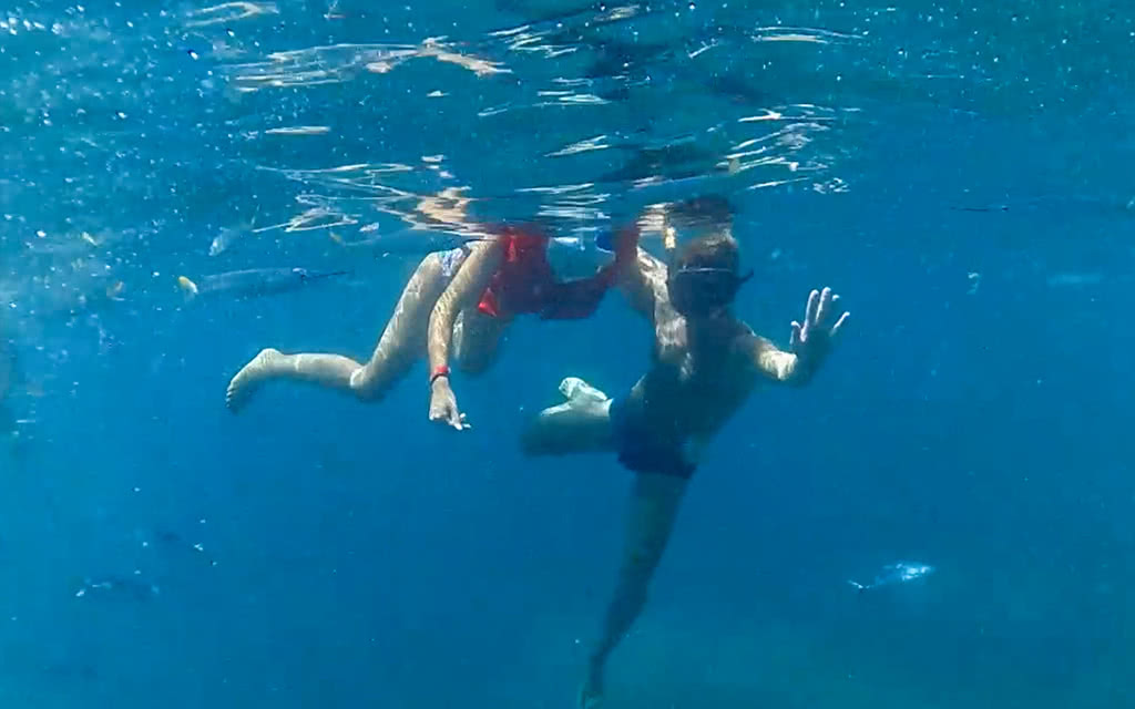 Excursion île Catalina - Départ de Punta Cana