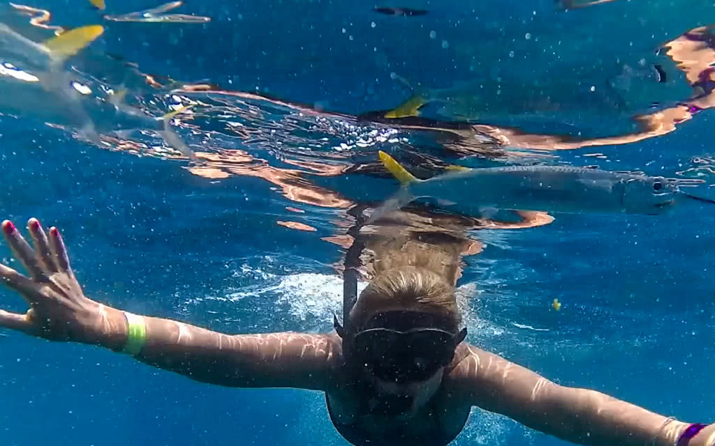 Excursion île Catalina - Départ de Bayahibe