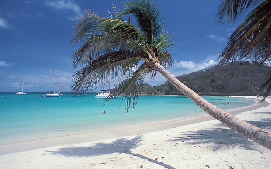Martinique - Sainte Lucie - Croisière Dream Grenadines Premium
