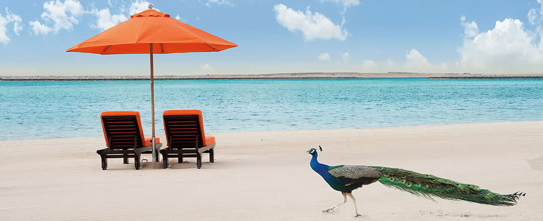 Partez en Dubaï. L'hôtel est idéalement situé à proximité de la plage.