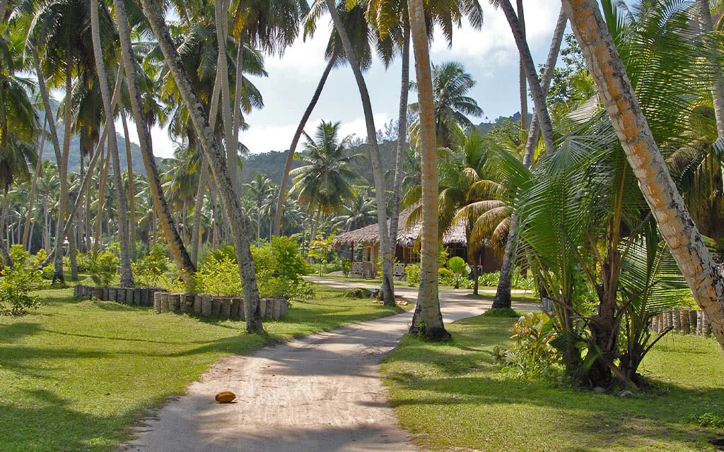 Praslin - Découverte de La Digue à vélo - Journée