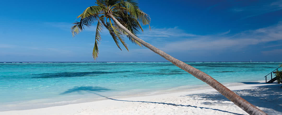 Partez en Maldives. L'hôtel est idéalement situé à proximité de la plage.