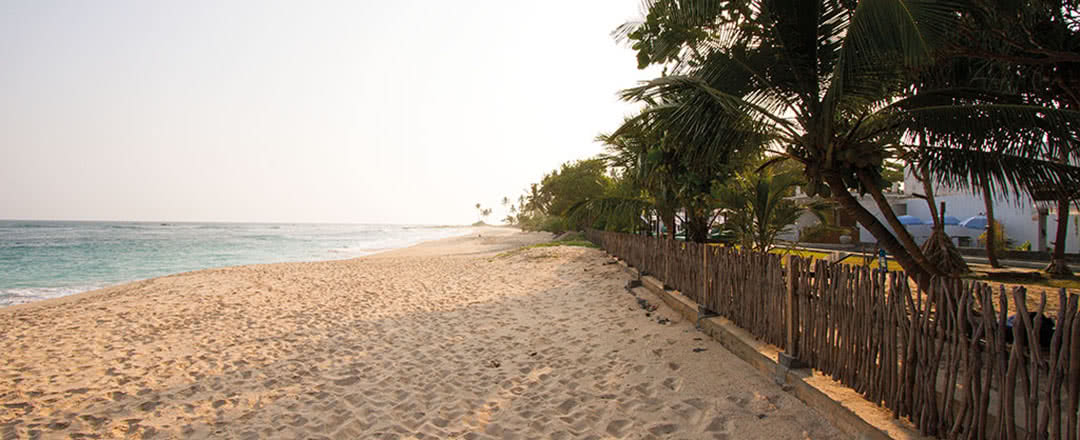 L'hôtel est idéalement situé à proximité de la plage. Restez dans un superbe hôtel Lantern Mirissa.