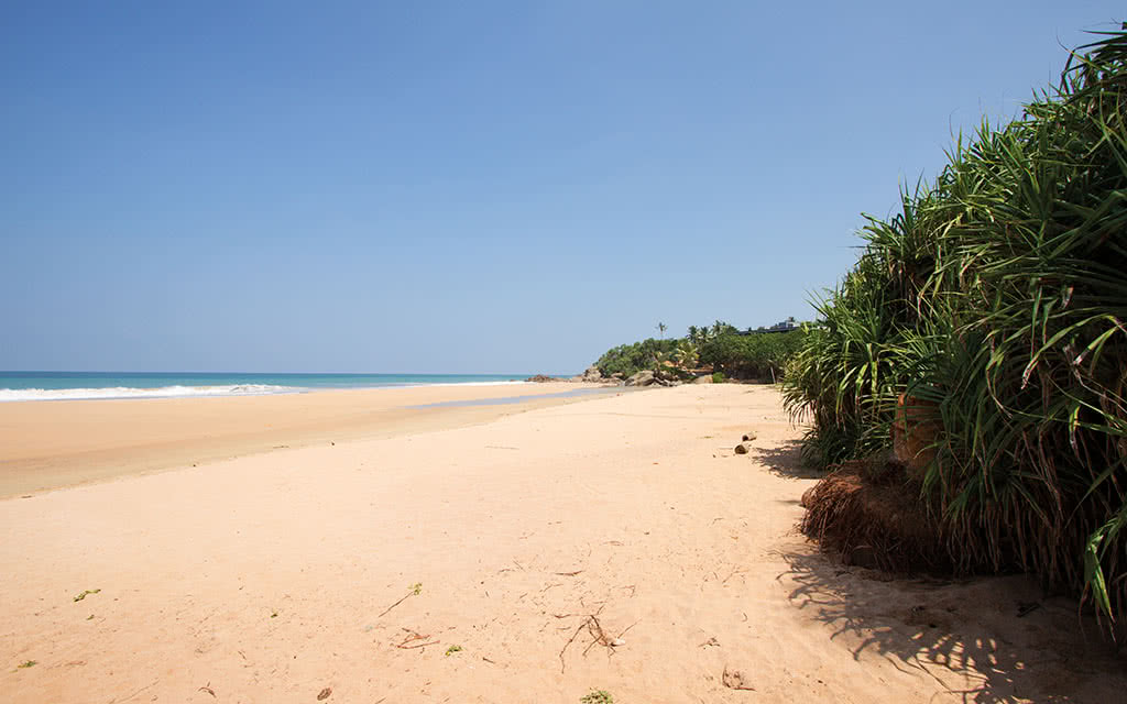 Sri Lanka - Circuit des plages de l'Est et Kandy
