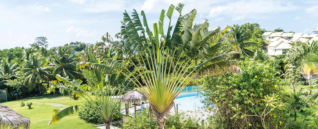 L'hôtel Résidence Cayalines offre une piscine rafraîchissante. Partez en Martinique.