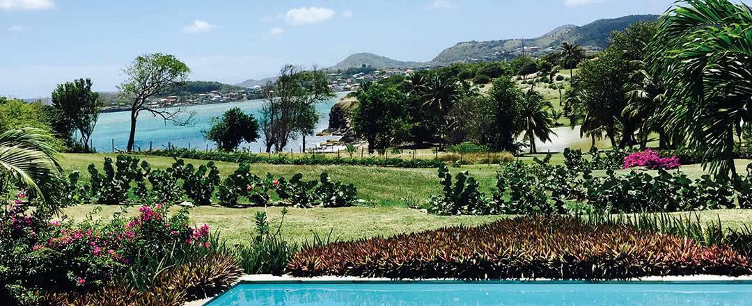 Partez en Martinique. L'hôtel Palm Villas offre une piscine rafraîchissante.