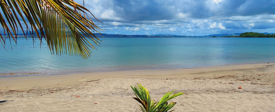 Partez en Martinique. L'hôtel est idéalement situé à proximité de la plage.