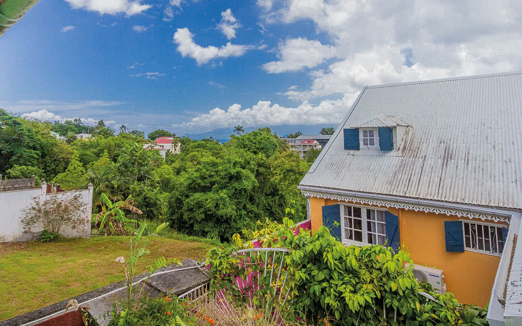 Guadeloupe - Les Gîtes de l'Alamanda Jaune