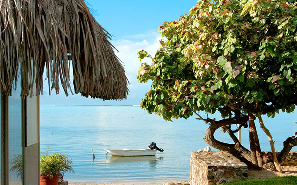Pension : Fare Aute Beach — photo 19