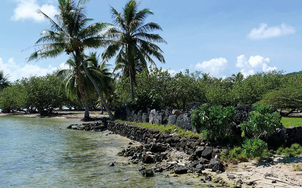 Culture et découverte de Raiatea
