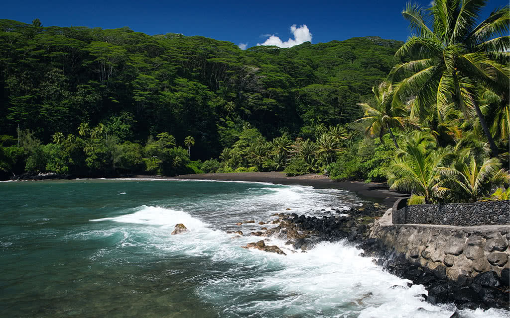 L'essentiel de l'île de Tahiti à la demi journée