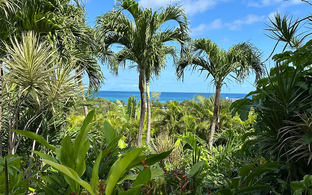 Résidence Vue Mer, Séjour Antilles, Guadeloupe par Ôvoyages Résidence Vue Mer, Séjour Antilles, Guadeloupe par Ôvoyages