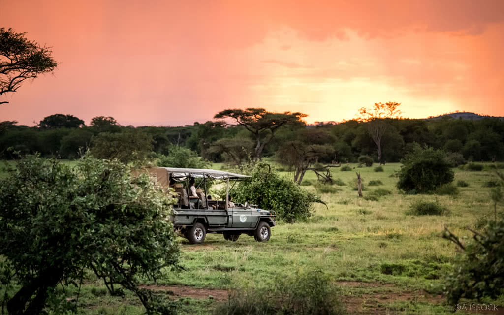 Safari Parcs du Nord 5 nuits 6 jours - Horizons Africains + Karafuu Beach Resort & Spa Zanzibar 11 nuits