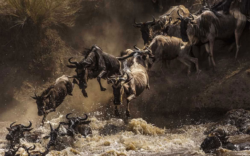 Safari Parcs du Nord 7 nuits - Cratères Lacs Savane + Karafuu Beach Resort & Spa Zanzibar 5 nuits - 3