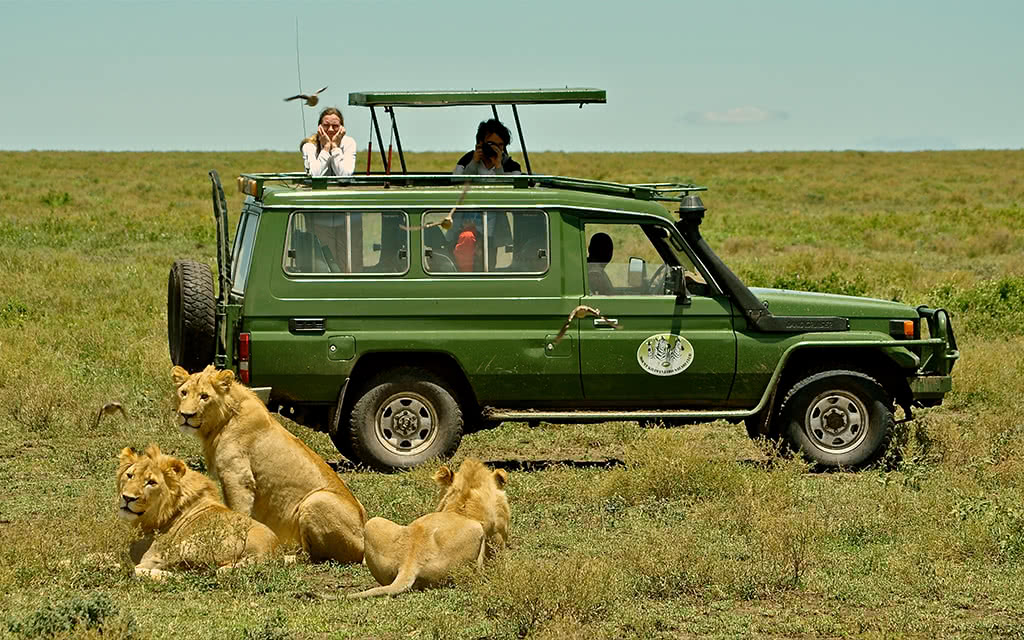 Circuit Tanzanie - Zanzibar Safari Selous 1 nuit + Karafuu Beach Resort & Spa Zanzibar 4 nuits