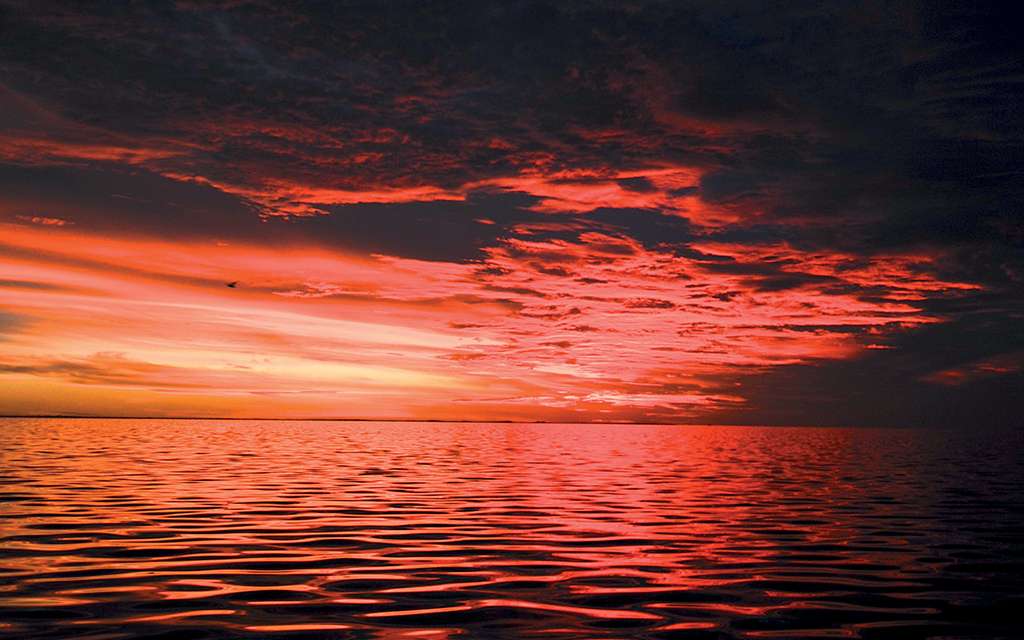 Croisière en Catamaran au Coucher du Soleil