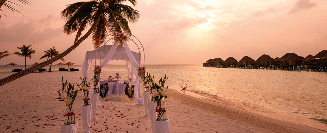 Mariage aux Maldives : Constance Halaveli